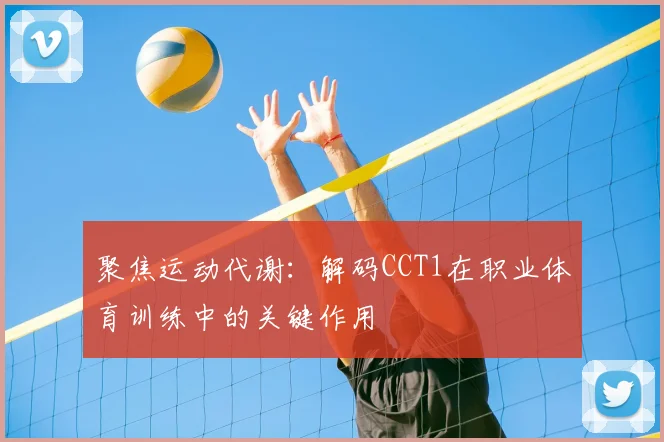 聚焦运动代谢：解码CCT1在职业体育训练中的关键作用