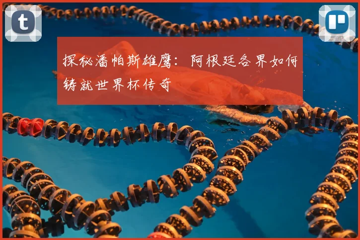 探秘潘帕斯雄鹰:阿根廷各界如何铸就世界杯传奇