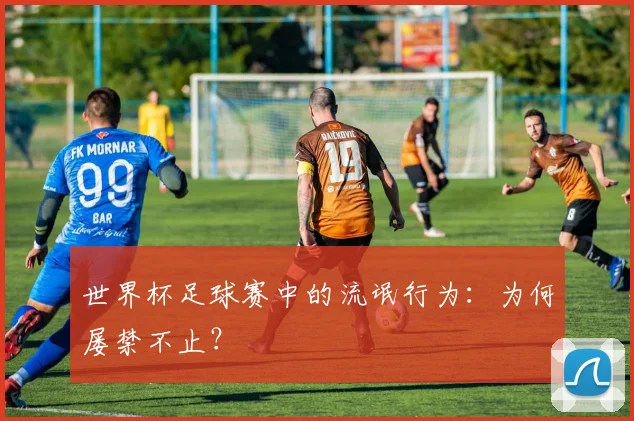 世界杯足球赛中的流氓行为:为何屡禁不止?